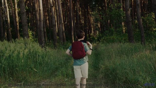 Почему этот лес НЕНАВИДИТ тишину - Squirrel Commotion -- Podington Bear -- Haplessly Happy (Box Set