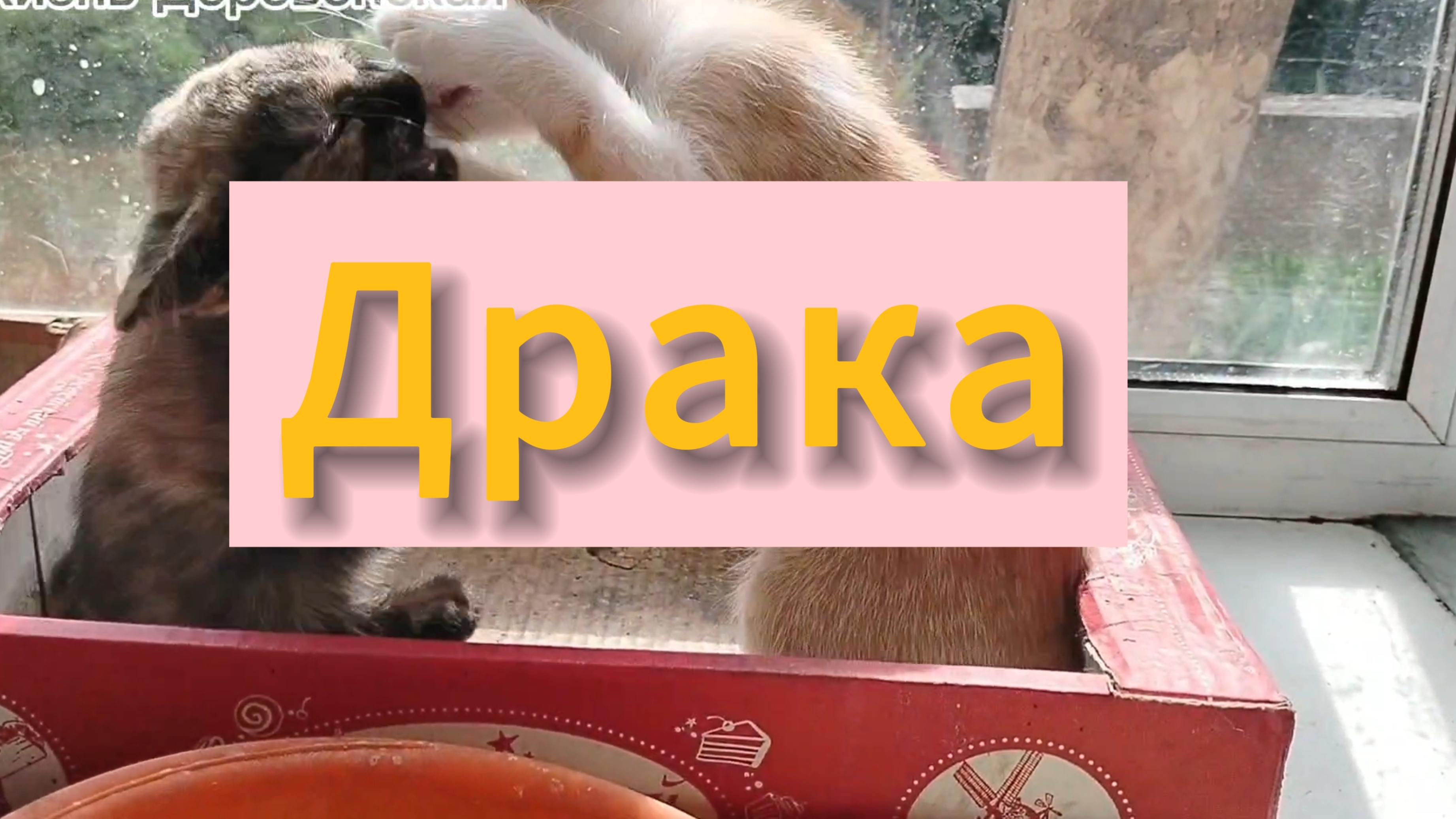 Драка
