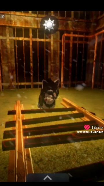 перезалив моих видео из лайка