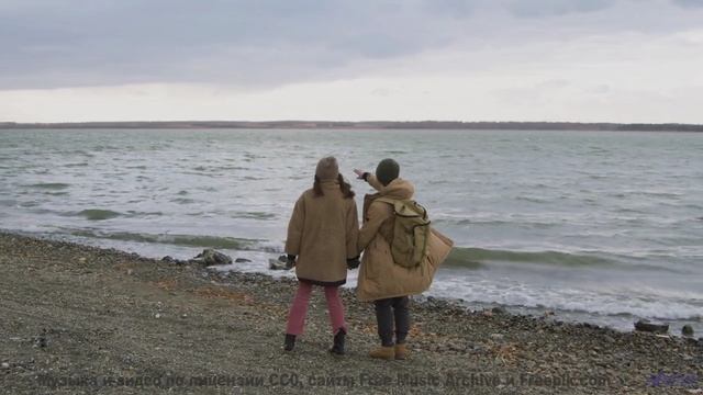 Звуки, которые пробуждают первобытные инстинкты - это дико! - Get Happy Now -- Podington Bear -- Hap