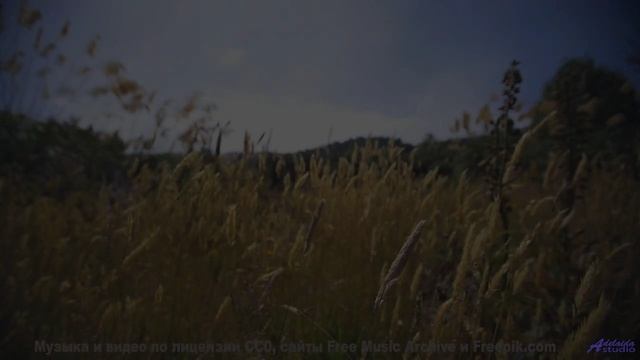 Звуки, от которых сосед перестанет сверлить стену! - Sand Dunes -- Ketsa -- Metaphysics