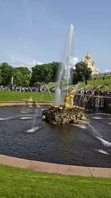 Петербург 2025 июнь