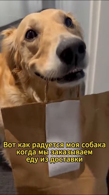 здыфзадфыда