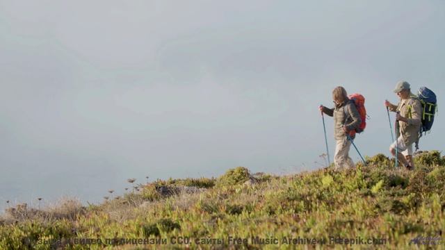 Леса звучат громче любого хора вместе с этим саундом - An Early Morning Deep Breath -- Kirk Osamayo