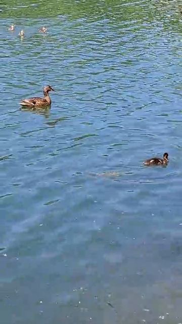 1000018027.mp4