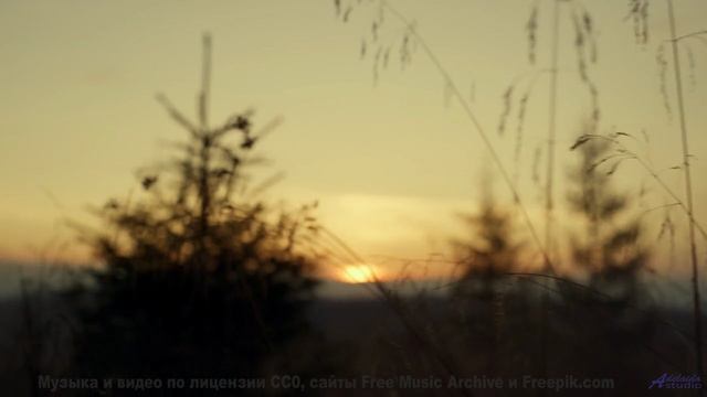 Ощущение полёта длится столько, сколько звучит трек - Too Many Roads -- One Man Book -- Brand New Se
