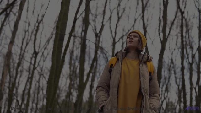 Звёзды падают под этот звук! - Orange -- Vulpiano Records Artists -- Sampler EP Vol. 10