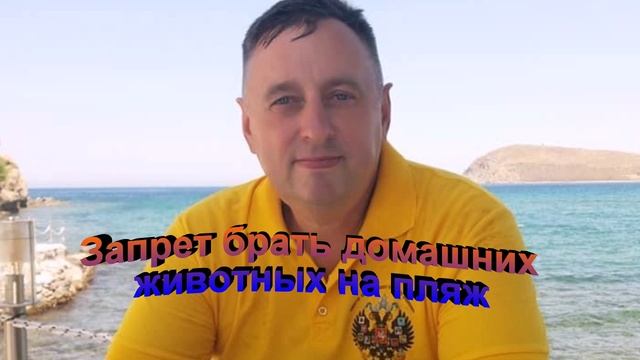 Запрет брать домашних животных на пляж