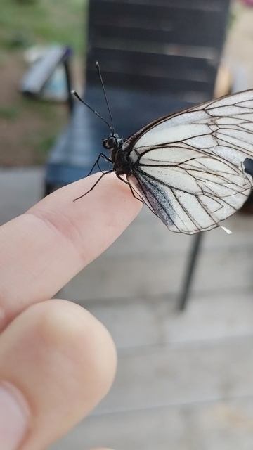 VID_20250616_191407.mp4