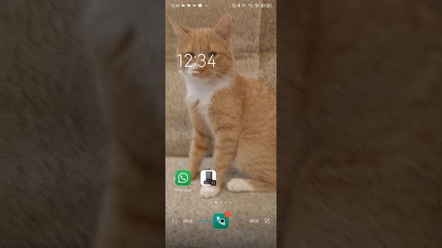 1000035217.mp4