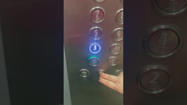 1000046238.mp4