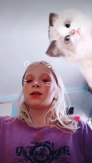 🐱