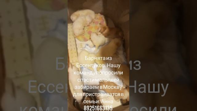 19-06-2025 Барнята из Ессентуков