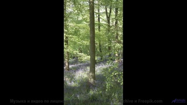 Музыка разбивает тревогу на осколки под эти виды - Leave Reminders -- Derek Clegg -- Random Calls