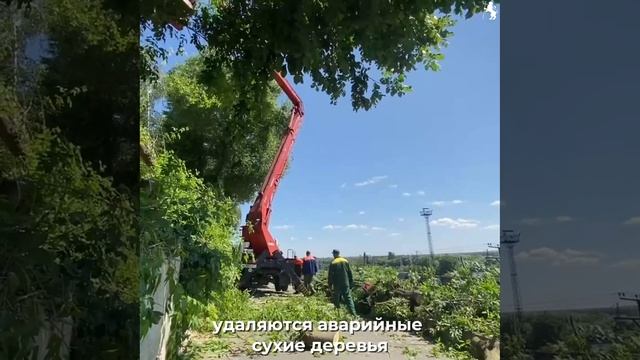🌳Обновления от Центра управления городскими дорогами🌳