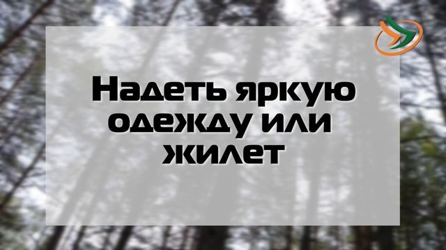 БГВЕСТНИК_Слет ЛизаАлерт в Богородском округе.mp4