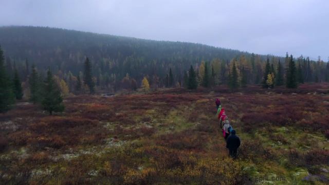 Музыка, которая звучит громче, когда вы делите одно окно в поезде - Samba -- The Hipshakes -- Live a