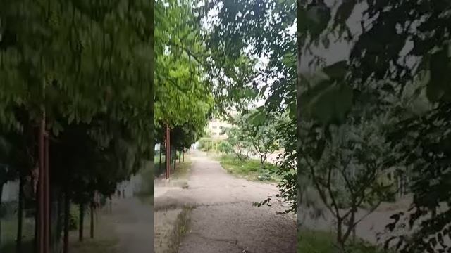 Ветренный день 19 июня 2025 г.