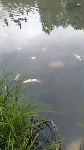 1000059036.mp4