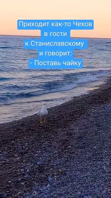 Про Чехова #юмор #популярное #лучшее #видео #прикол #чай #чайка #море