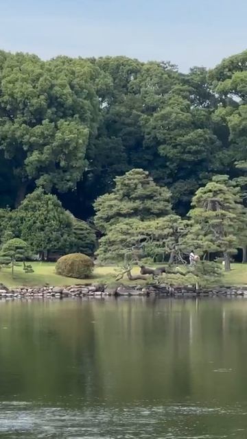 Парк Хамарикю (浜離宮恩賜庭園)