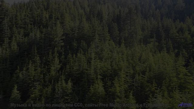 Саунд качает сердце, как ветер качает траву - Chapter 6 -- A Tape Full of Mistakes -- Dusts