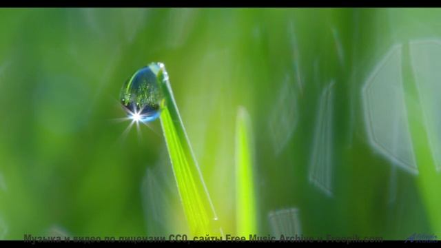 Это видео может изменить вашу ДНК - доказано наукой! - 7-le feu -- Bonne Humeur Provisoire -- Merak