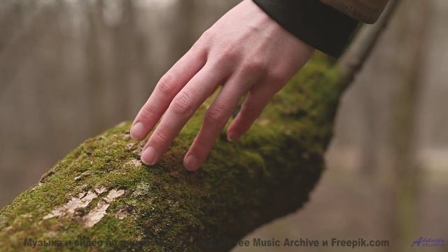 Мелодия превращает кадры в личный портал в мечты - Disguises -- Ketsa -- Abundance
