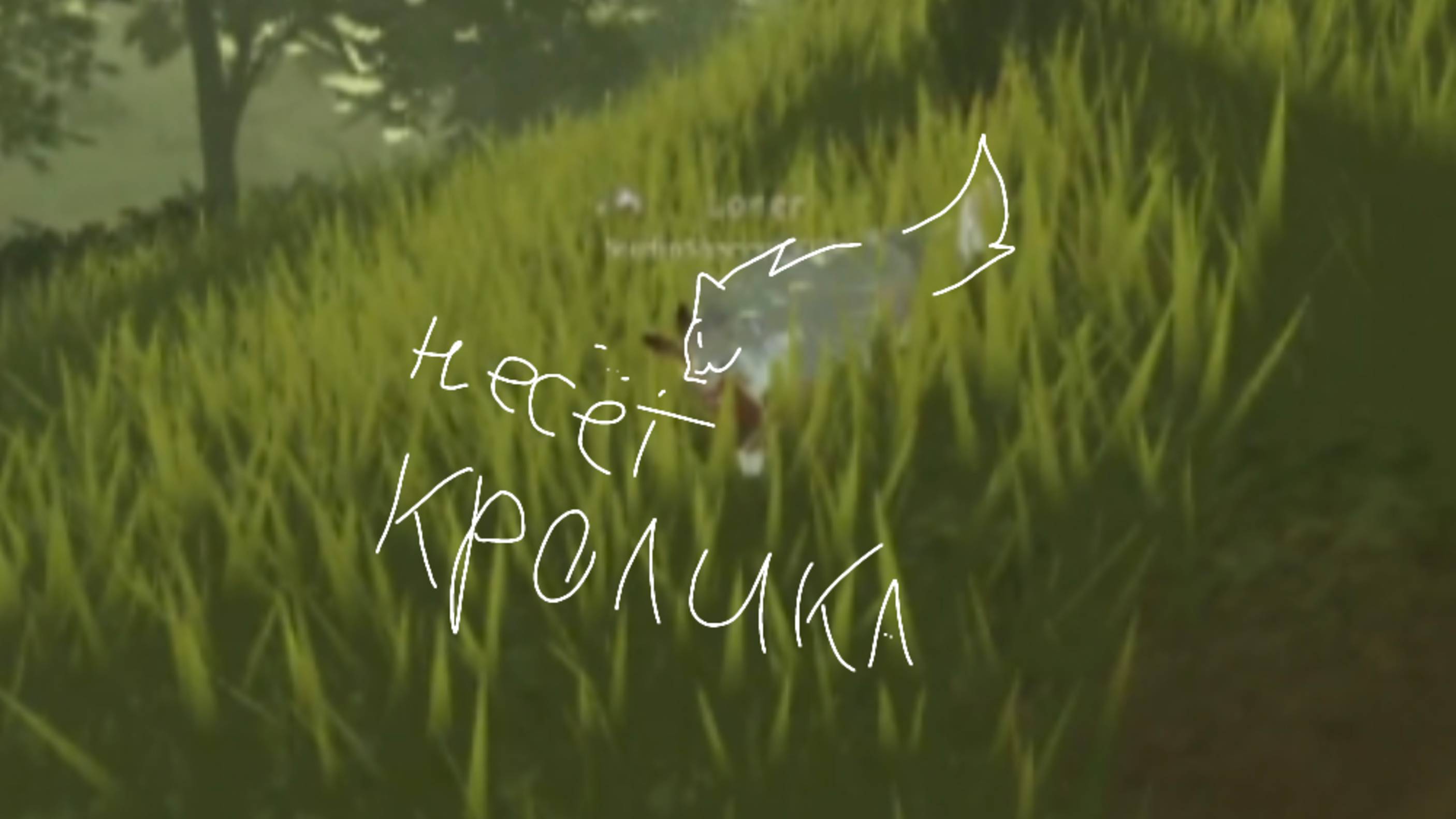Тутор на охоту от Эхо) ~ / ♡ Echo ♡