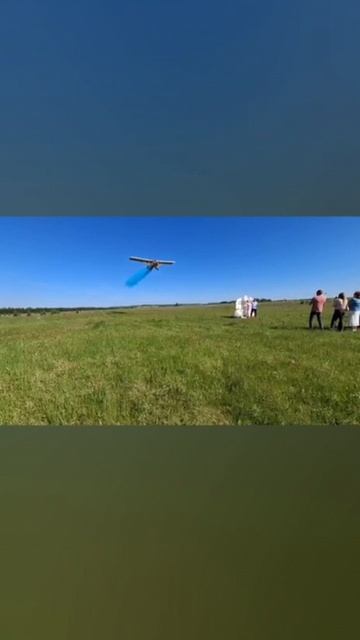 Самолет и дневной салют на гендер пати.