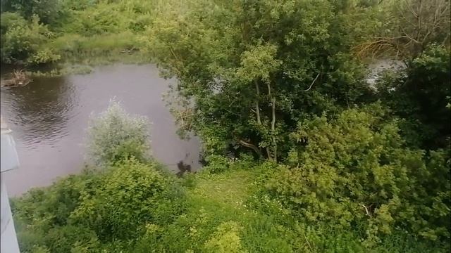 Костомаровский мост в Орле