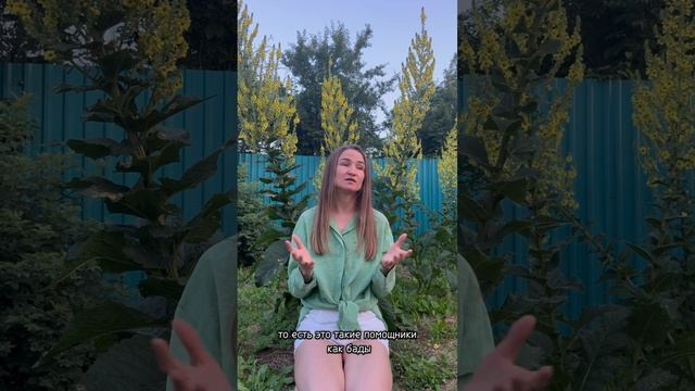 Адыгея ❤️🔥