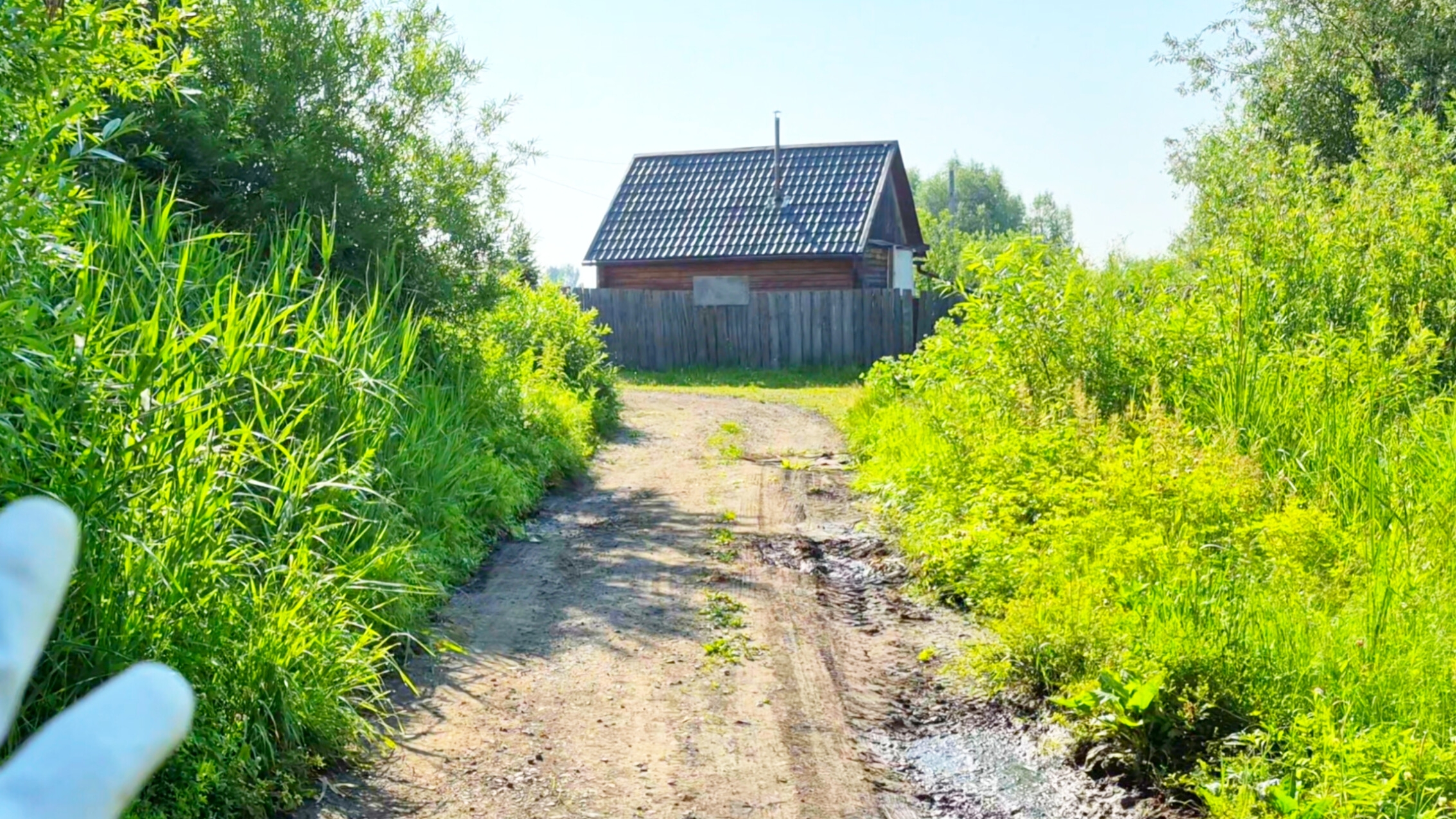 Дом на краю болота,стряпоем пироги с печенью