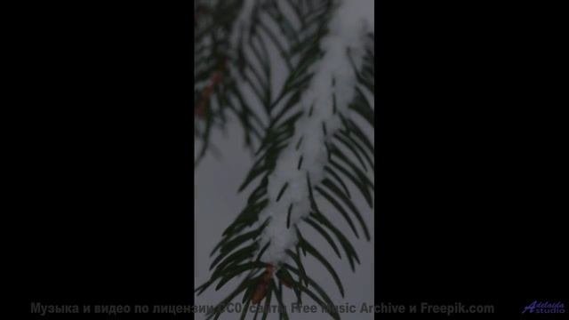 Глаза не моргают, пока звучит такой ритм - Reborn -- Ketsa -- The Calling