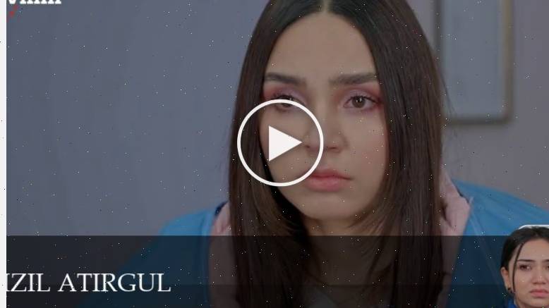 Qizil atirgul - 1 Сезон 41 серия ** смотреть бесплатно