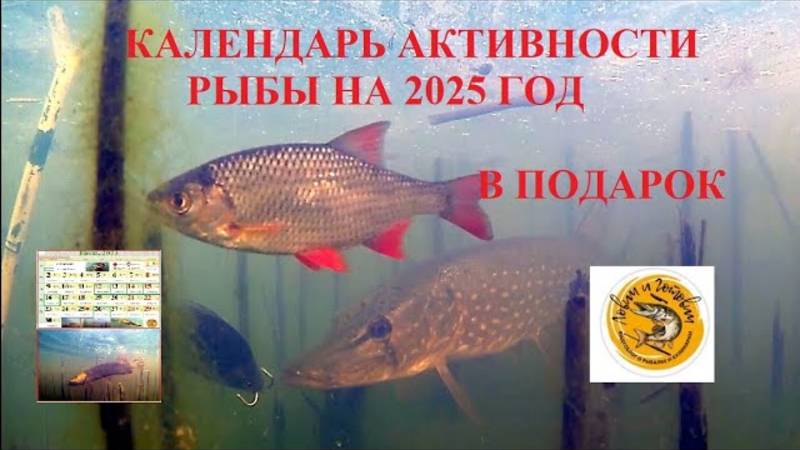 Календарь рыбака на 2025 год.