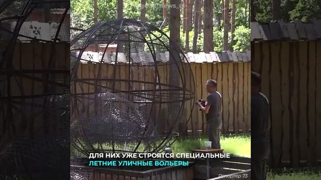 Ульяновский зоопарк продолжает расти и развиваться. Что нового ожидает посетителей зоопарка этим лет