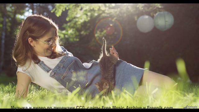 Пейзажи под трек, который разрывает чарты - Indigo -- Vincent Augustus -- Nightlife for Morning Peop