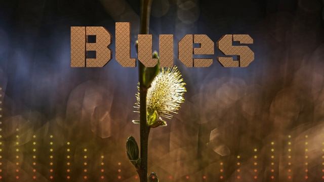 blues #guitar #blues  #bluesballads #guitarsongscover