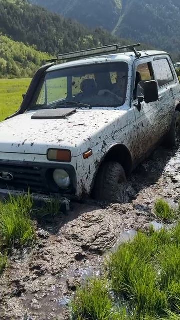 Попал в заподню