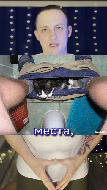 Спидран по ДНД | Инициативность  #dnd #д20 #днд #психология #игрок #настолки
