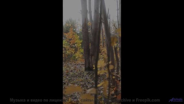 Почему этот пейзаж СВОДИТ людей с ума - Старше (feat. Александр Гоголев) -- POVALISHIN DIVISION -- З