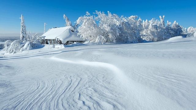ТЫ УКРОЙ МЕНЯ СНЕГОМ, ЗИМА (2)