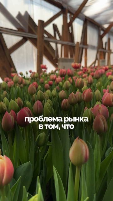 Еще больше полезной информации про цветочный бизнес найдешь на моем канале.
