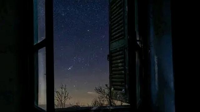 НОЧЬ стихи Ларисы Гавриковой читает Дмитрий Канунов