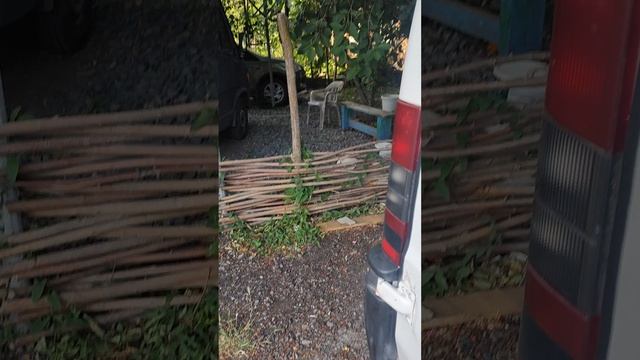 1000084751.mp4