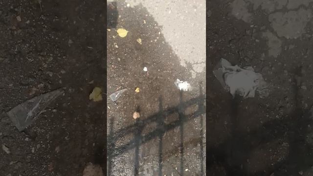 Продолжение видео Поход домой