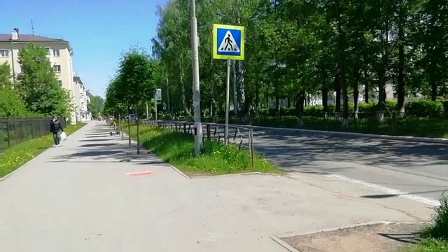 Эти милые дамы-деревья
