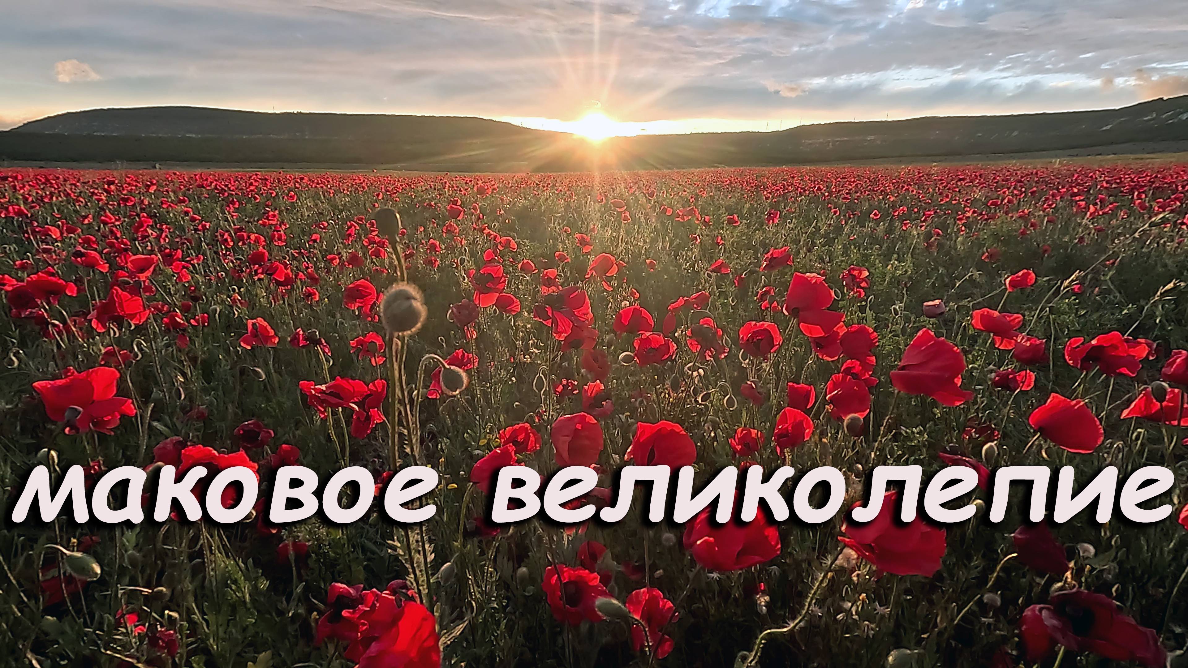 Поход на маковое поле через Челтер-Мармара и пещерный монастырь Шулдан