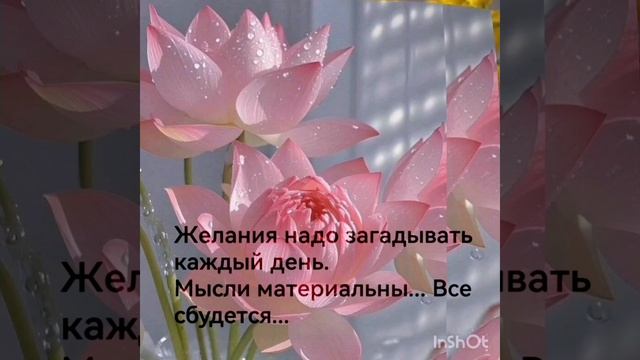 19-06-2025 ЛВЕ